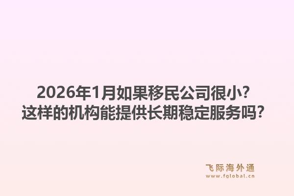2026年1月如果移民公司很小？这样的机构能提供长期稳定服务吗？