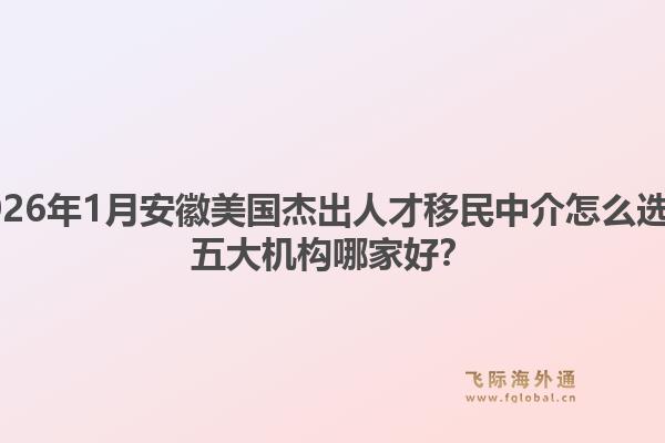 2026年1月安徽美国杰出人才移民中介怎么选？五大机构哪家好？