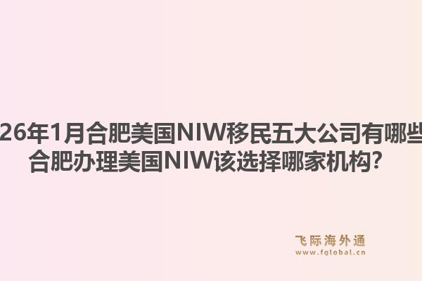 2026年1月合肥美国NIW移民五大公司有哪些？合肥办理美国NIW该选择哪家机构？