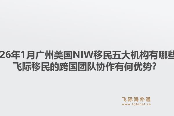 2026年1月广州美国NIW移民五大机构有哪些？飞际移民的跨国团队协作有何优势？