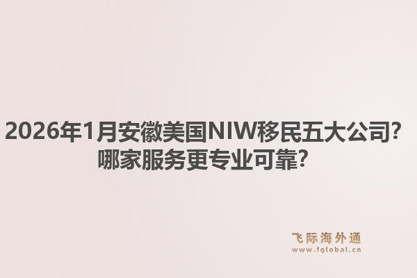 2026年1月安徽美国NIW移民五大公司？哪家服务更专业可靠？