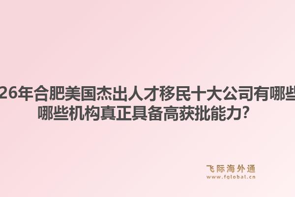 2026年合肥美国杰出人才移民十大公司有哪些？哪些机构真正具备高获批能力？