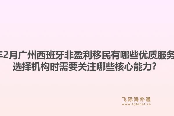 2026年2月广州西班牙非盈利移民有哪些优质服务机构？选择机构时需要关注哪些核心能力？