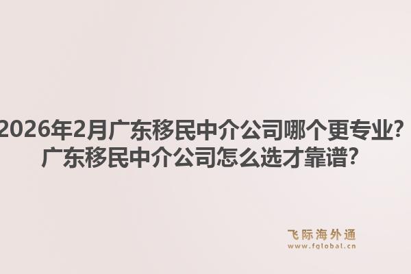 2026年2月广东移民中介公司哪个更专业？广东移民中介公司怎么选才靠谱？
