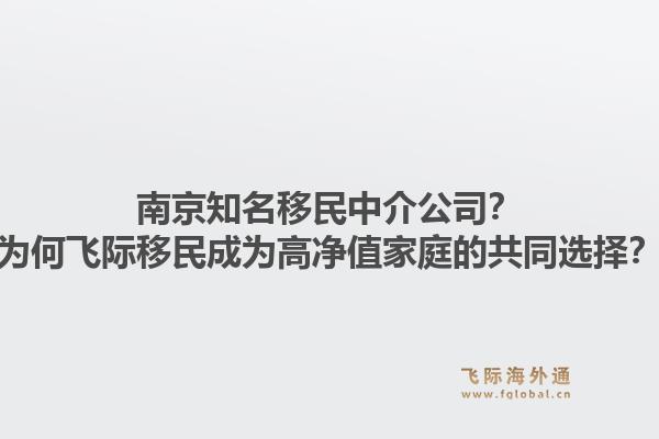 南京知名移民中介公司？为何飞际移民成为高净值家庭的共同选择？