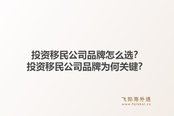 投资移民公司品牌怎么选？投资移民公司品牌为何关键？