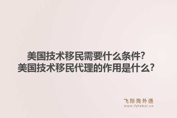 美国技术移民需要什么条件?美国技术移民代理的作用是什么?1.jpg
