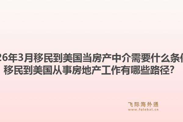 2026年3月移民到美国当房产中介需要什么条件？移民到美国从事房地产工作有哪些路径？