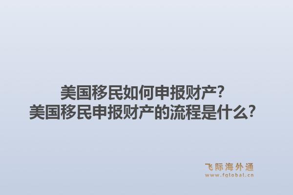美国移民如何申报财产？美国移民申报财产的流程是什么？1.jpg