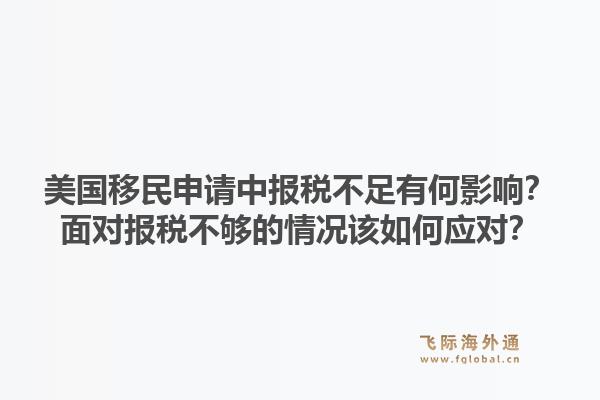 美国移民申请中报税不足有何影响？面对报税不够的情况该如何应对？1.jpg
