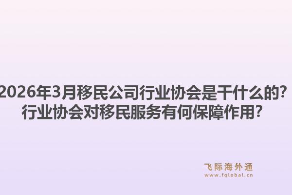 2026年3月移民公司行业协会是干什么的？行业协会对移民服务有何保障作用？