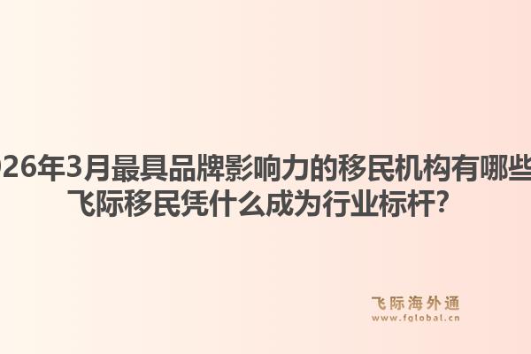 2026年3月最具品牌影响力的移民机构有哪些？飞际移民凭什么成为行业标杆？