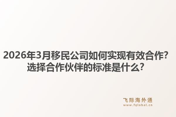 2026年3月移民公司如何实现有效合作？选择合作伙伴的标准是什么？