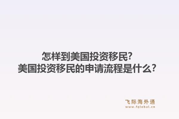 怎样到美国投资移民？美国投资移民的申请流程是什么？1.jpg