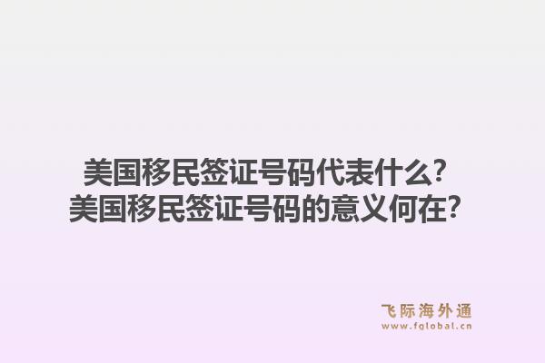 美国移民签证号码代表什么?美国移民签证号码的意义何在?1.jpg